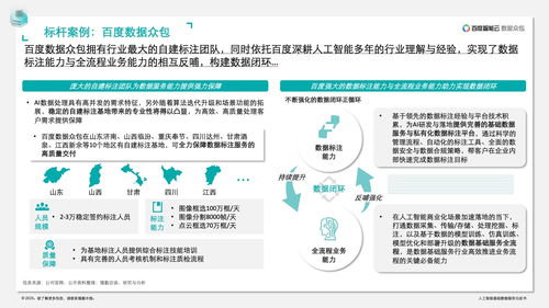 德勤咨詢 人工智能基礎數(shù)據(jù)服務與軟件開發(fā)白皮書