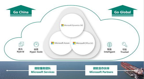 微軟智能商業(yè)云中國(guó)區(qū)戰(zhàn)略解析 Dynamics 365 發(fā)布會(huì)獨(dú)家揭秘與軟件開(kāi)發(fā)新機(jī)遇