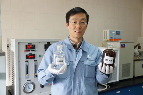 生物技術(shù)解決地溝油問題 年處理10萬噸的環(huán)保新途徑