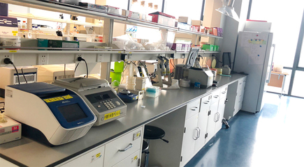 生物技術(shù)研發(fā) 驅(qū)動生命科學創(chuàng)新的核心引擎