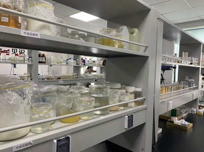 小康夢(mèng)圓 | 留學(xué)歸國(guó)創(chuàng)業(yè)者鄭春陽 以“酶”為筆，在通信技術(shù)開發(fā)中書寫生物企業(yè)的創(chuàng)新故事