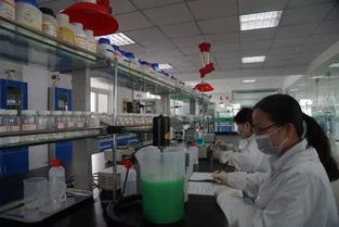 懷遠創新潮涌 工業領航通信技術開發